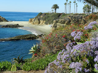 Laguna Beach Ocean California
